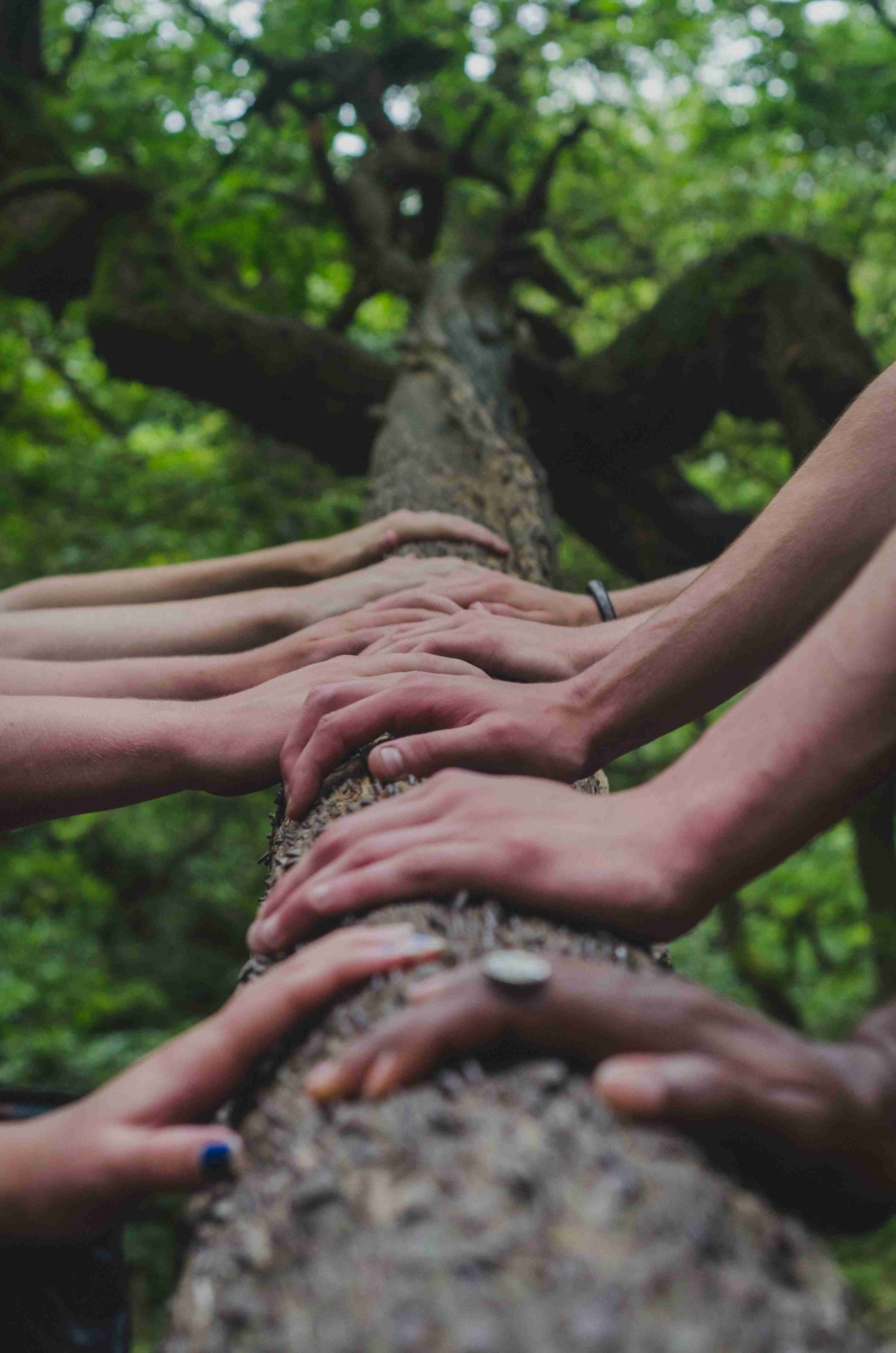 Transformational relationship coaching i Björknäs